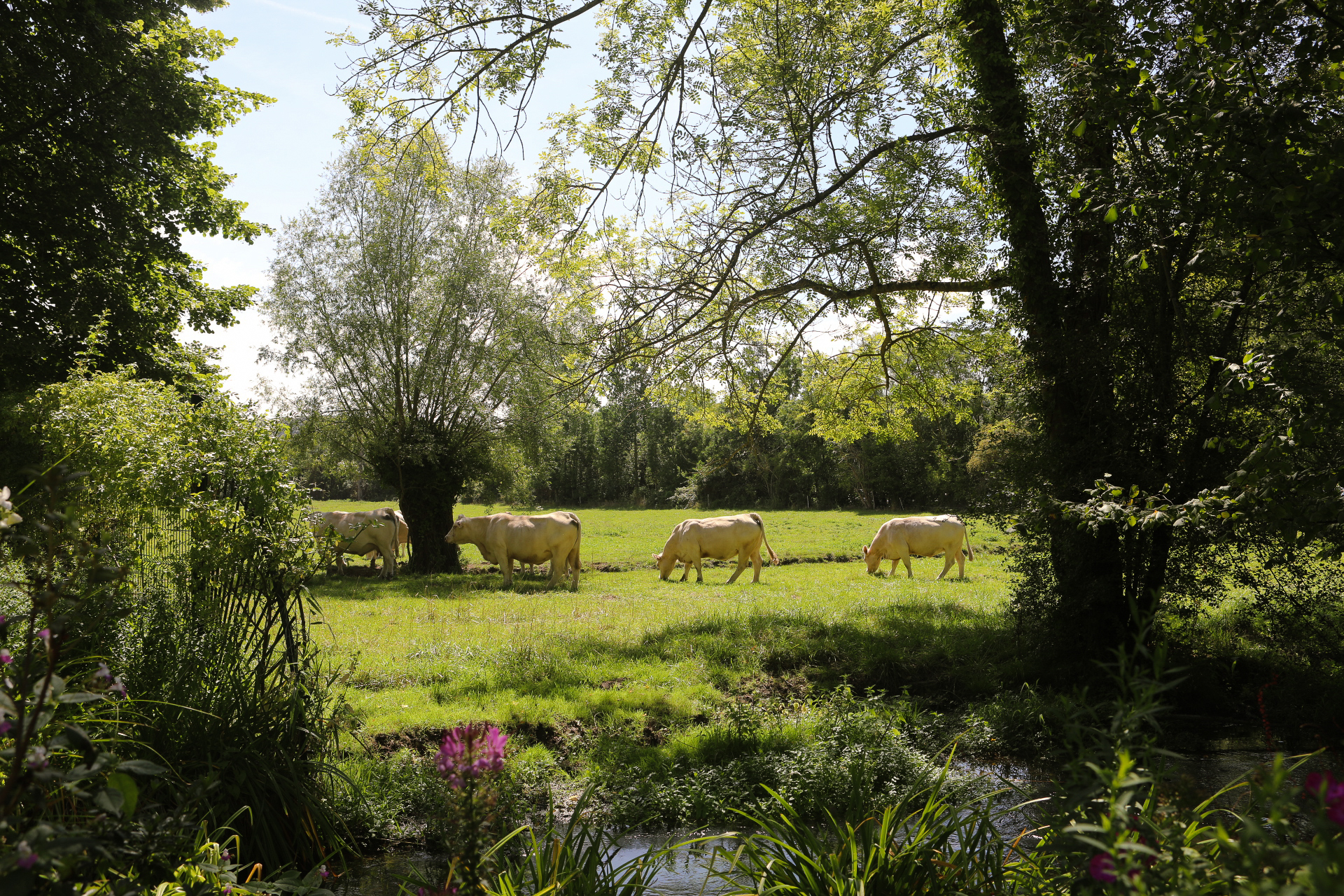 Day Trip to Giverny