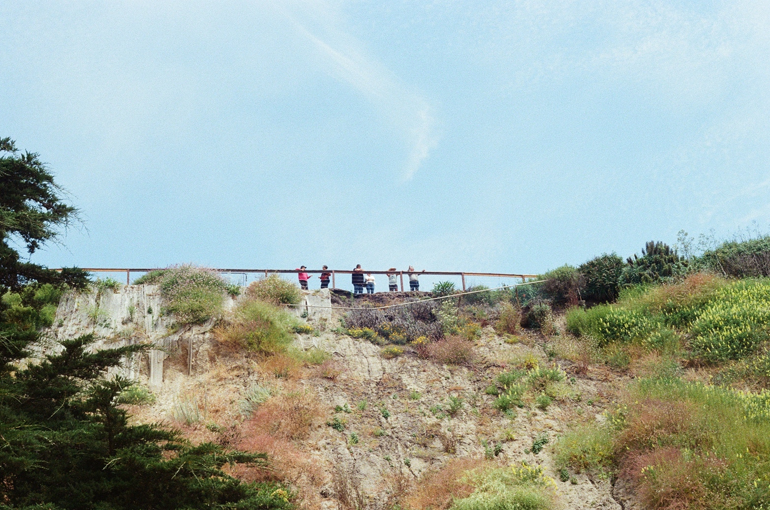Santa Cruz